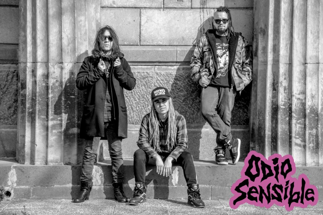 odio-sensible_banda